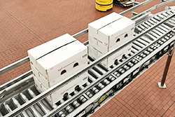 automation equipment - product conveyor - pallet conveyor - industrial automation equipment