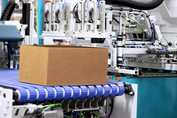 folding carton: palletizing robot