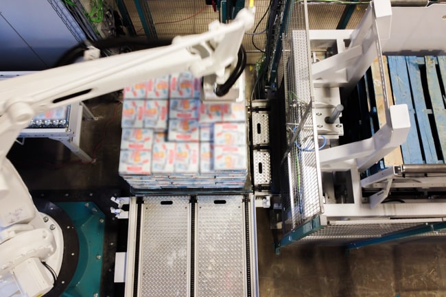 robotic palletizing solutions