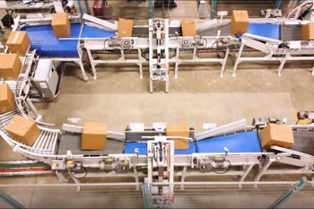 automatic case cutting system solution