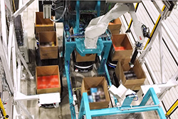 automated case packing solution